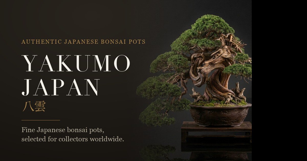 YAKUMO JAPAN 八雲 — Fine Japanese Bonsai Pots for Collectors Worldwide